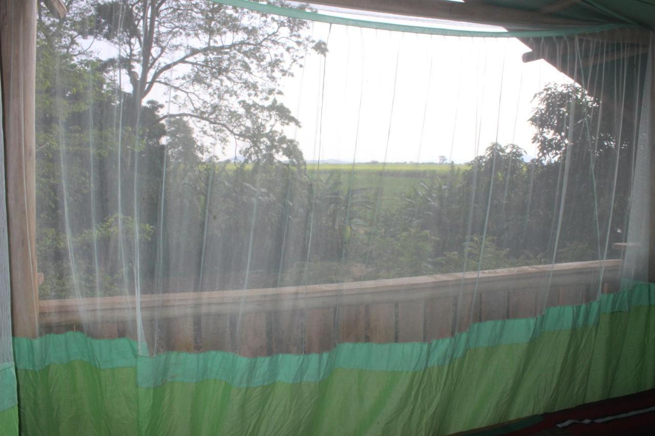 Forest Tree Top Holiday Resort Buttala Exterior foto