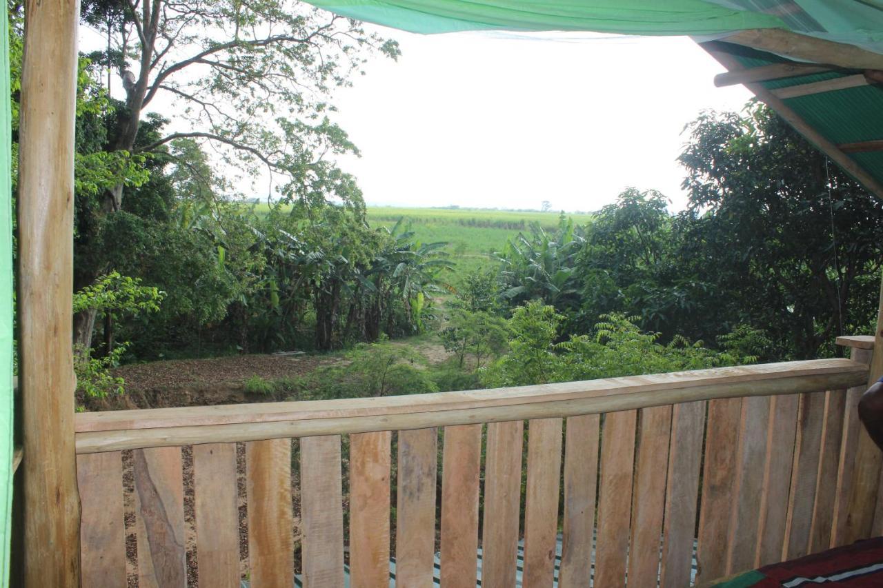 Forest Tree Top Holiday Resort Buttala Exterior foto