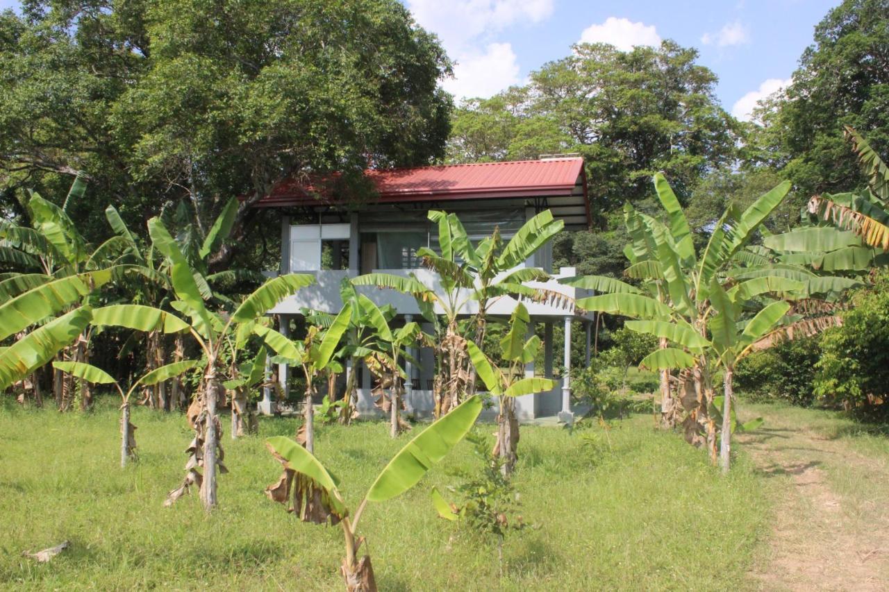 Forest Tree Top Holiday Resort Buttala Exterior foto