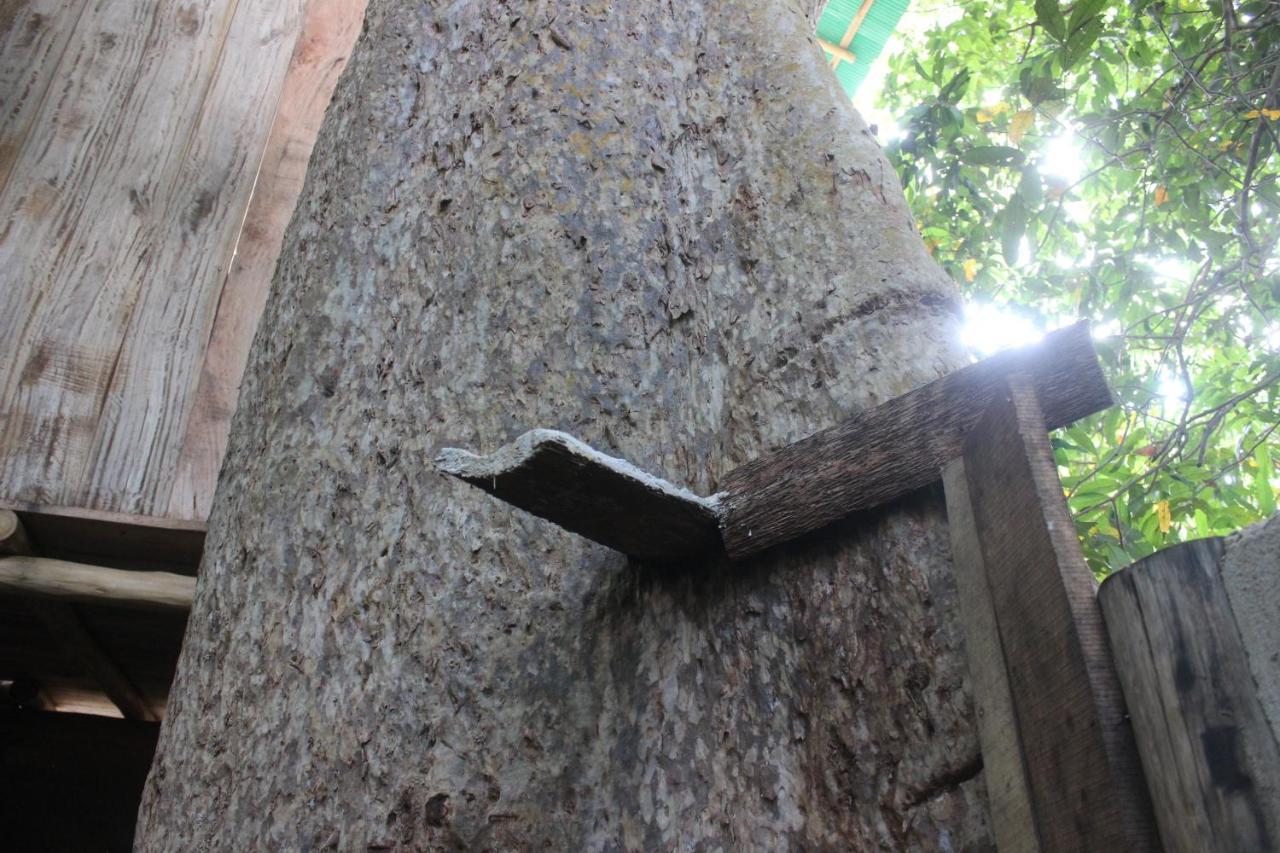 Forest Tree Top Holiday Resort Buttala Exterior foto